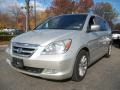 Silver Pearl Metallic - Odyssey Touring Photo No. 2