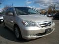 Silver Pearl Metallic - Odyssey Touring Photo No. 4