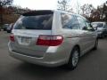 Silver Pearl Metallic - Odyssey Touring Photo No. 6