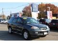 2006 Sage Brush Green Pearl Acura MDX Touring  photo #1