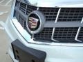Platinum Ice Tricoat - SRX V6 Photo No. 9