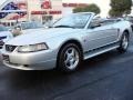 2004 Silver Metallic Ford Mustang V6 Convertible  photo #8