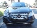 Black - ML 350 Photo No. 3