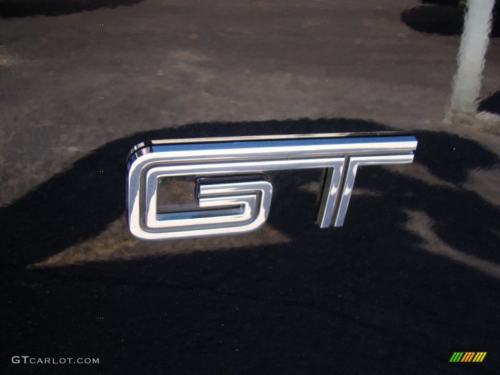 2010 Ford Mustang GT Coupe Marks and Logos Photo #56416891