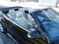 2003 Black Volkswagen New Beetle GLS Convertible  photo #13