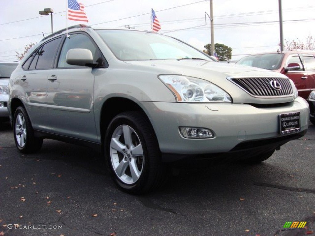 2004 RX 330 - Bamboo Pearl / Light Gray photo #1