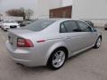 Alabaster Silver Metallic - TL 3.2 Photo No. 8