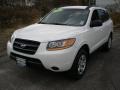 Powder White Pearl - Santa Fe GLS Photo No. 1