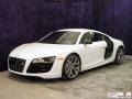 Ibis White - R8 5.2 FSI quattro Photo No. 4