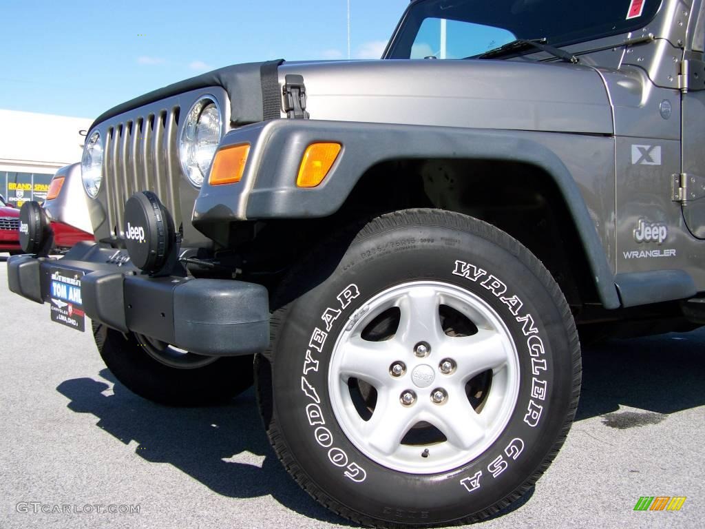 2004 Wrangler X 4x4 - Light Khaki Metallic / Dark Slate Gray photo #2