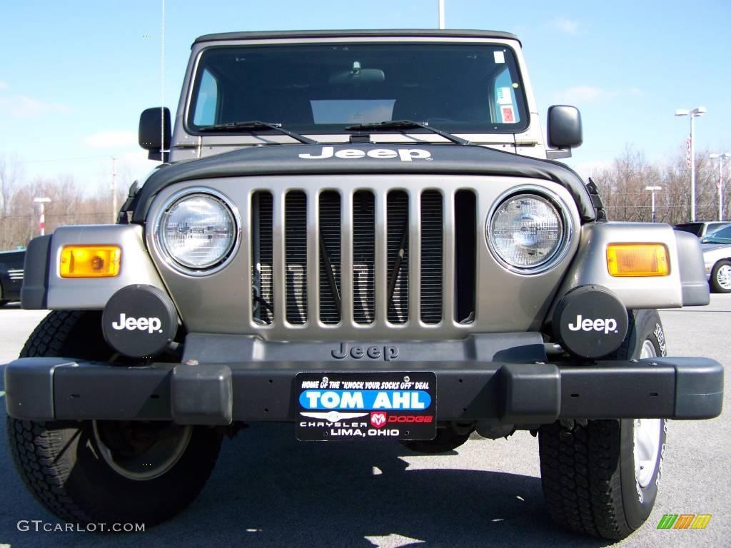 2004 Wrangler X 4x4 - Light Khaki Metallic / Dark Slate Gray photo #3