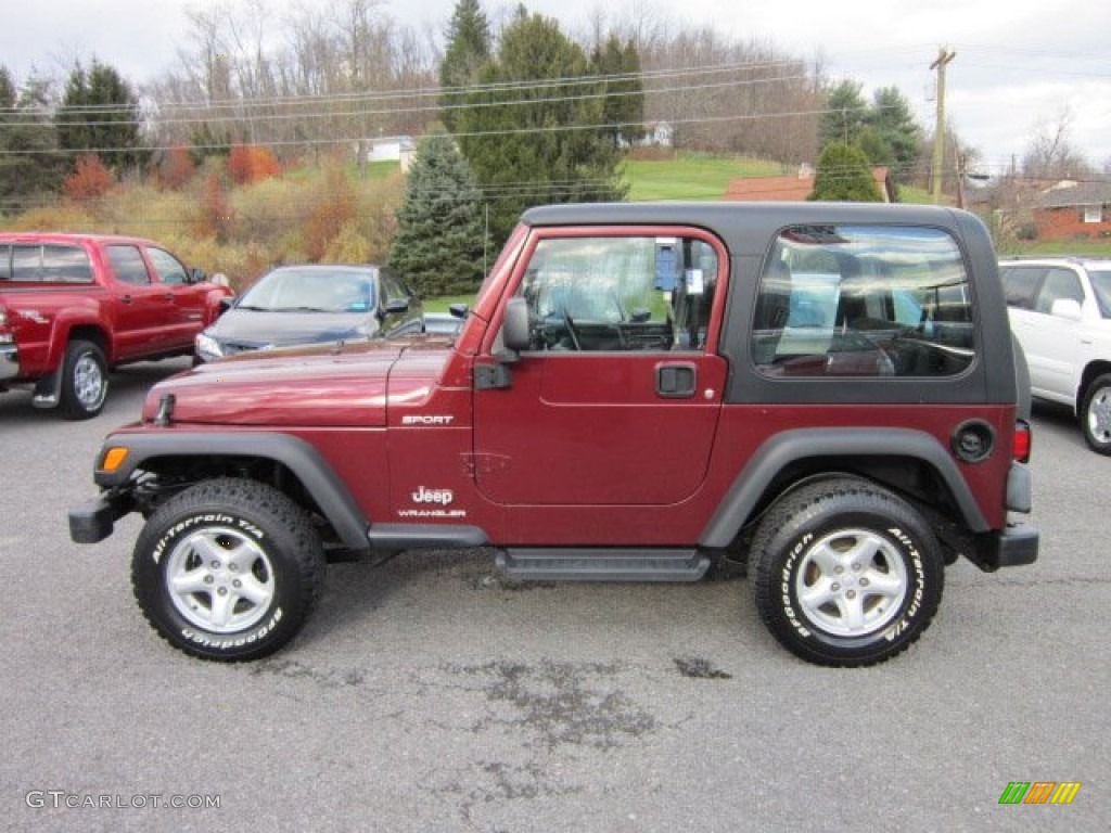 2004 Wrangler Sport 4x4 - Sienna Pearl / Dark Slate Gray photo #4