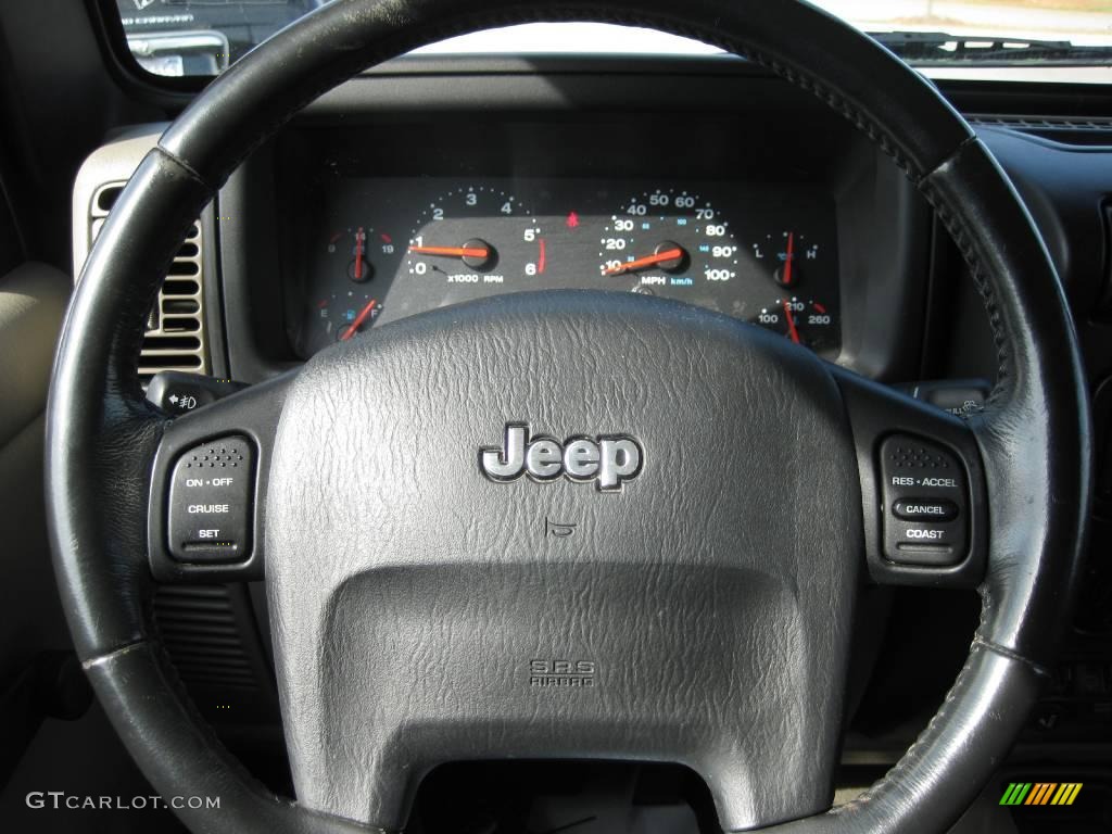 2004 Wrangler Sahara 4x4 - Light Khaki Metallic / Khaki photo #7