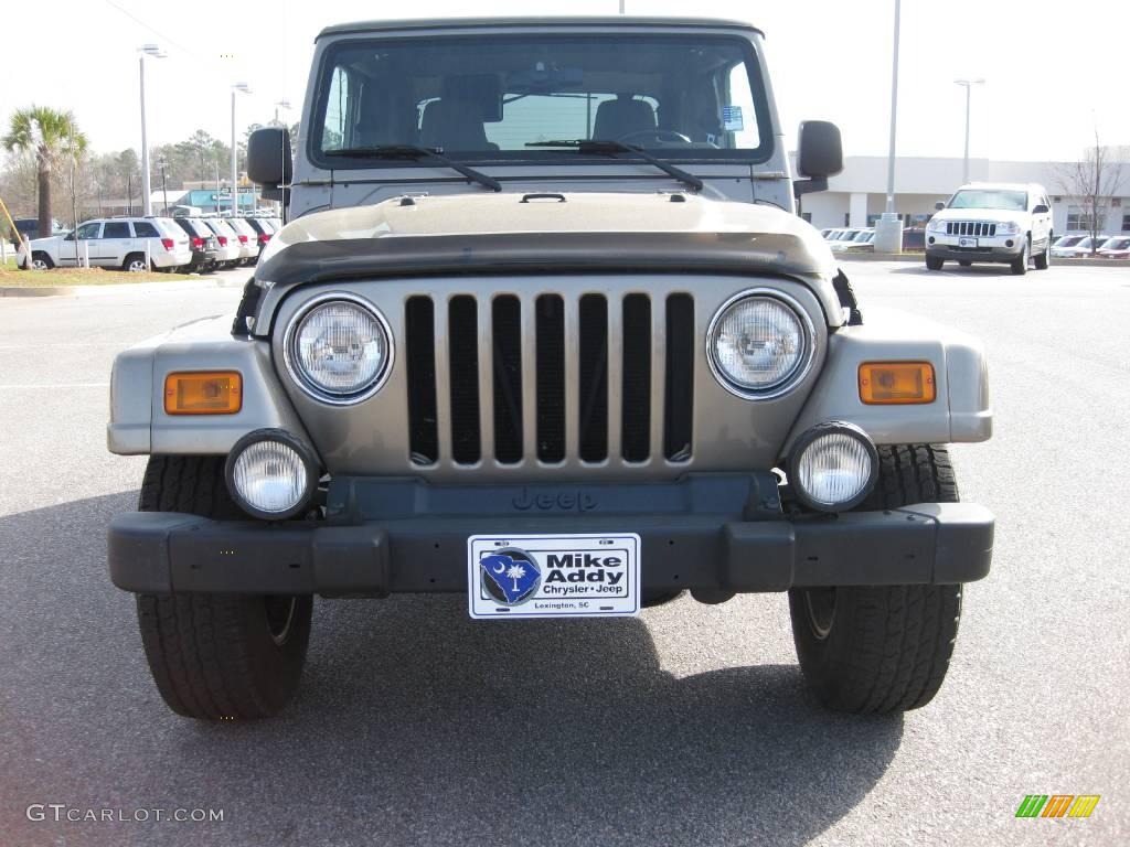2004 Wrangler Sahara 4x4 - Light Khaki Metallic / Khaki photo #12