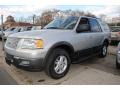 Silver Birch Metallic 2006 Ford Expedition XLT 4x4