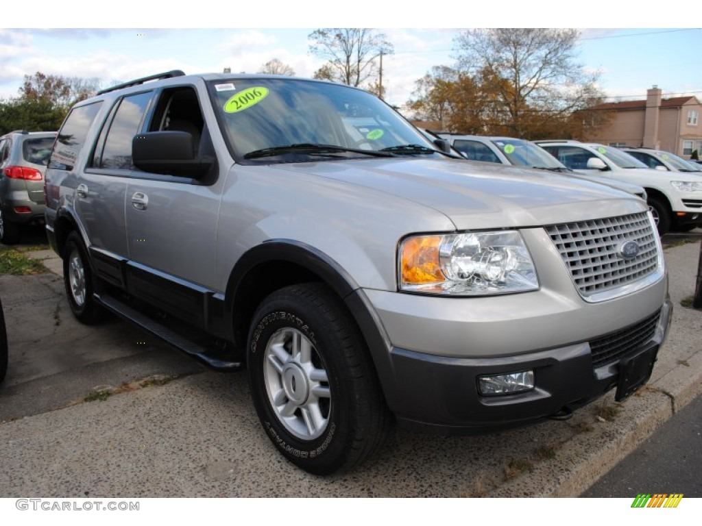 Silver Birch Metallic 2006 Ford Expedition XLT 4x4 Exterior Photo #56434057