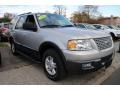 Silver Birch Metallic 2006 Ford Expedition XLT 4x4 Exterior