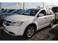 Stone White 2010 Dodge Journey R/T