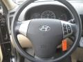 2010 Ebony Black Hyundai Elantra GLS  photo #19