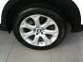 Alpine White - X5 4.8i Photo No. 6