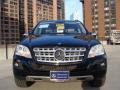 Black - ML 350 4Matic Photo No. 2