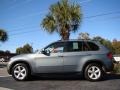 2008 Mineral Green Metallic BMW X5 3.0si  photo #4