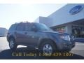 2012 Sterling Gray Metallic Ford Escape XLT  photo #1