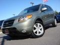 Natural Khaki Green 2007 Hyundai Santa Fe Limited