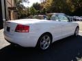 2007 Ibis White Audi A4 2.0T Cabriolet  photo #7