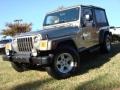 2005 Bright Silver Metallic Jeep Wrangler Unlimited 4x4  photo #1