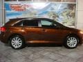 Sunset Bronze Mica - Venza I4 Photo No. 1