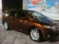 Sunset Bronze Mica - Venza I4 Photo No. 2