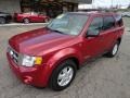 2008 Redfire Metallic Ford Escape XLT V6  photo #8