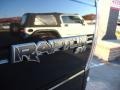 2010 Ford F150 SVT Raptor SuperCab 4x4 Marks and Logos