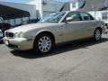 Platinum Silver Metallic - XJ XJ8 Photo No. 2