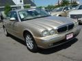 Platinum Silver Metallic - XJ XJ8 Photo No. 7