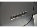 Crystal Silver - Cooper Countryman Photo No. 7