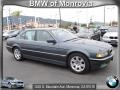 2001 Steel Blue Metallic BMW 7 Series 740i Sedan  photo #1