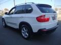Alpine White - X5 3.0si Photo No. 3