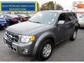 2010 Sterling Grey Metallic Ford Escape Limited V6 4WD  photo #1