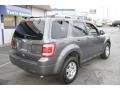 2010 Sterling Grey Metallic Ford Escape Limited V6 4WD  photo #6
