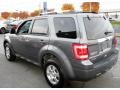 2010 Sterling Grey Metallic Ford Escape Limited V6 4WD  photo #9