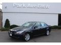2009 Monaco Blue Metallic BMW 5 Series 528xi Sedan  photo #1