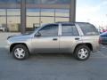 Silverstone Metallic - TrailBlazer LS 4x4 Photo No. 2