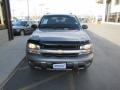 Silverstone Metallic - TrailBlazer LS 4x4 Photo No. 29
