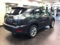 Smokey Granite - RX 350 AWD Photo No. 2