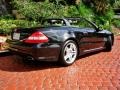 Obsidian Black Metallic - SL 550 Roadster Photo No. 4