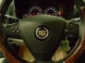 Sunset Blue - CTS Sedan Photo No. 17