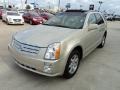 Gold Mist 2009 Cadillac SRX V6