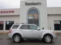 Silver Metallic - Escape Limited 4WD Photo No. 1